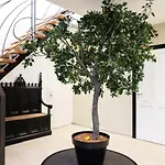 וילה Villa